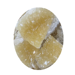 کاسه نبات فله